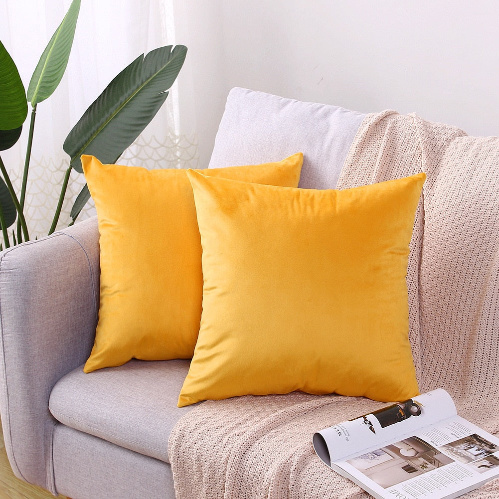 Velvet Cushion Cover