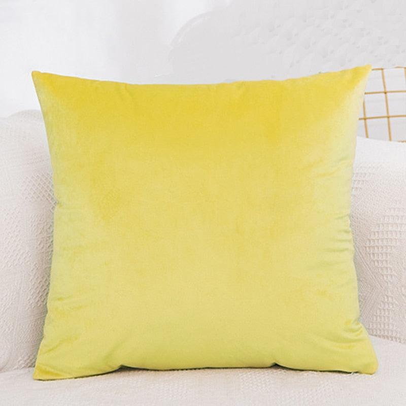 Velvet Cushion Cover