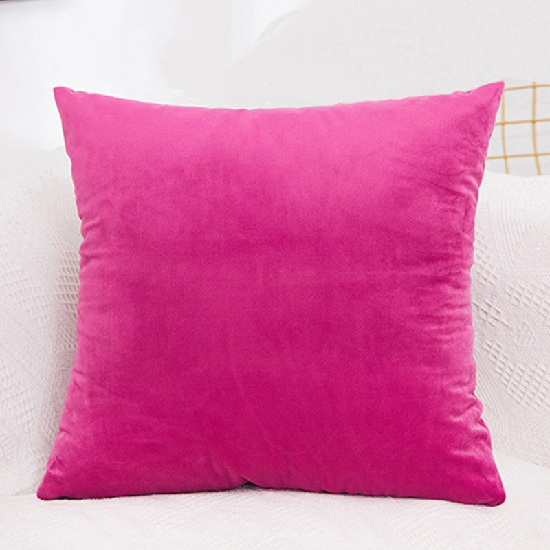 Velvet Cushion Cover