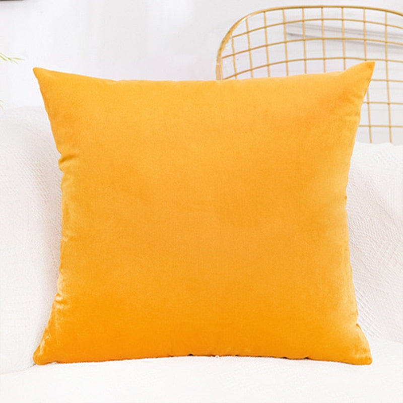 Velvet Cushion Cover