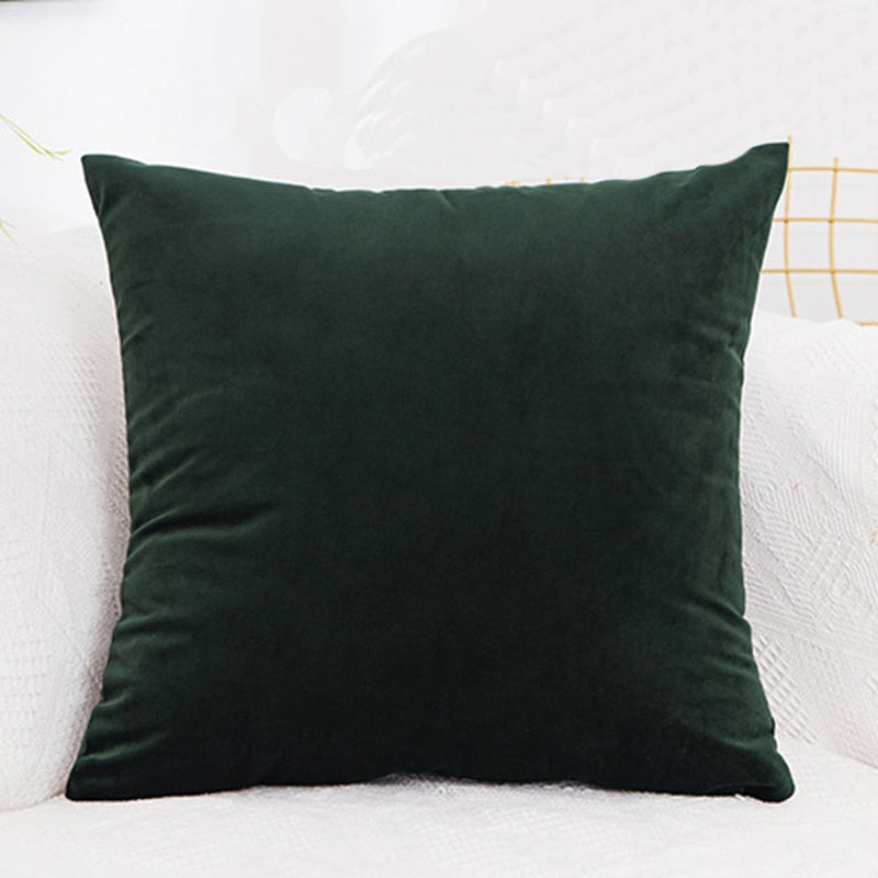 Velvet Cushion Cover